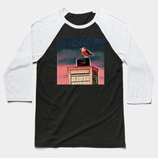 Seagull Baseball T-Shirt